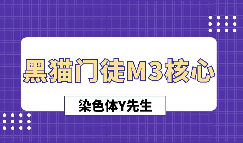 染色体Y先生《黑猫门徒M3核心》